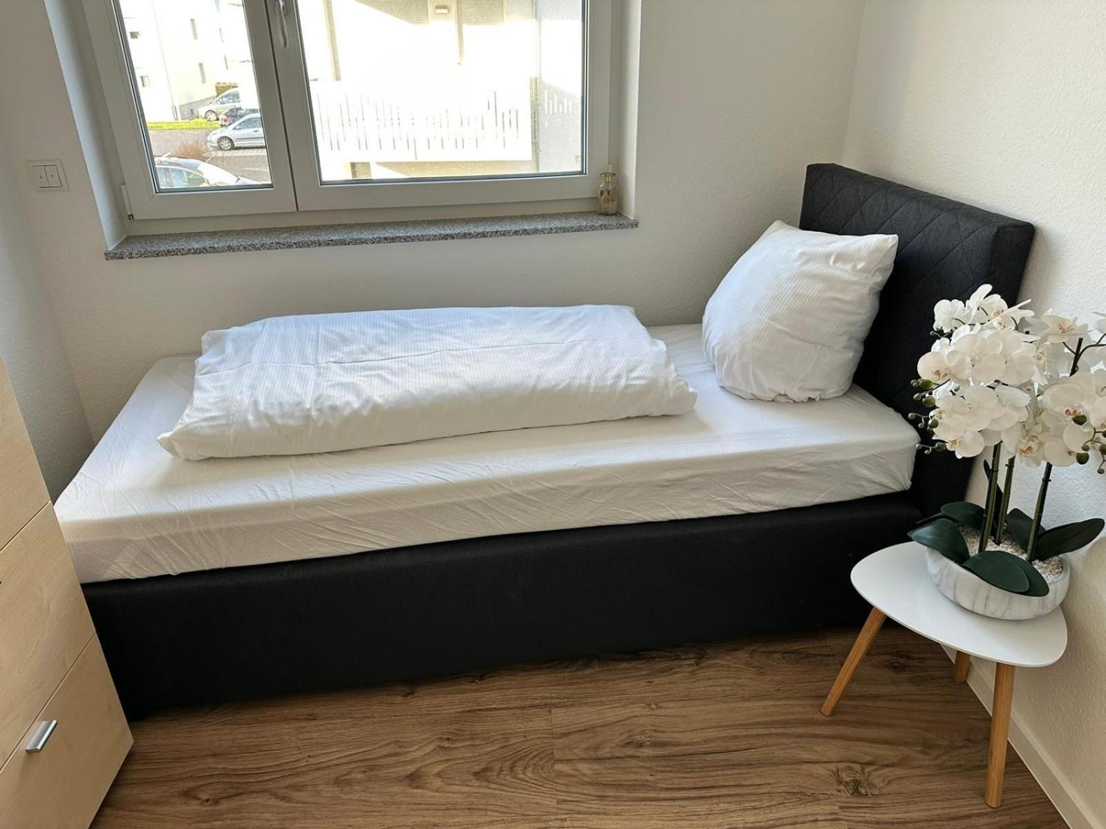 Grosse Cozy 4-Zi-Whg Mit Balkon Naehe Europa Park Und Rulantica Apartment Lahr  Exterior photo